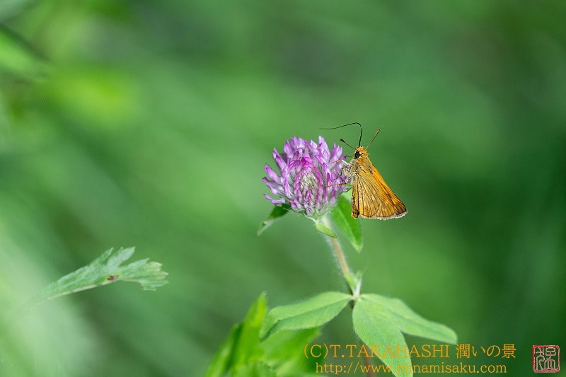 ../Images/7R240804 (70).jpg